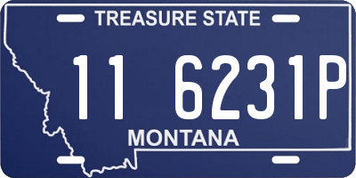 MT license plate 116231P