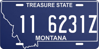 MT license plate 116231Z