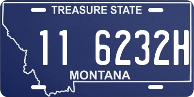 MT license plate 116232H