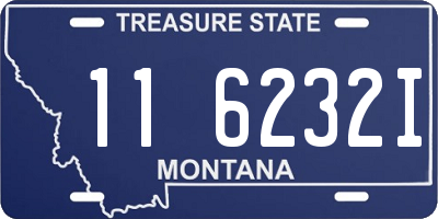 MT license plate 116232I
