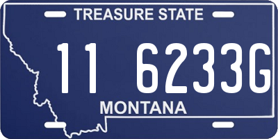 MT license plate 116233G