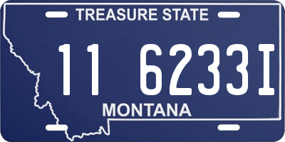 MT license plate 116233I