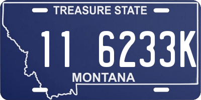 MT license plate 116233K