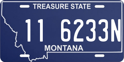 MT license plate 116233N