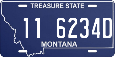 MT license plate 116234D