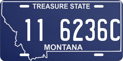 MT license plate 116236C