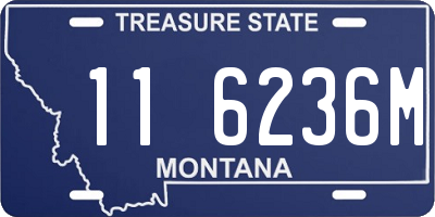 MT license plate 116236M