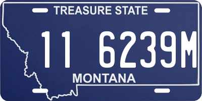 MT license plate 116239M