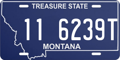 MT license plate 116239T