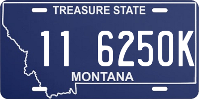 MT license plate 116250K