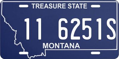 MT license plate 116251S