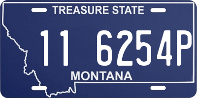 MT license plate 116254P