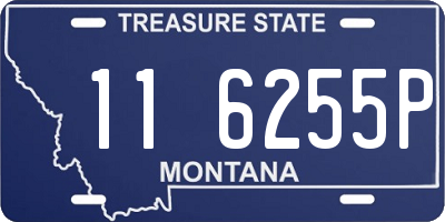 MT license plate 116255P