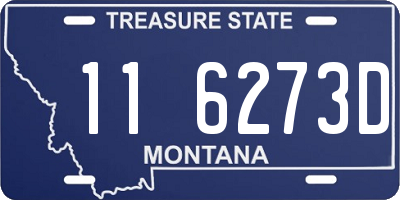 MT license plate 116273D