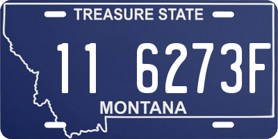 MT license plate 116273F