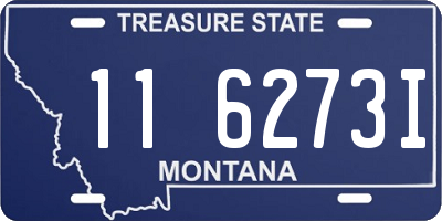 MT license plate 116273I