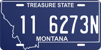 MT license plate 116273N