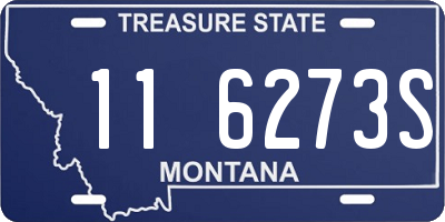 MT license plate 116273S