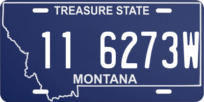 MT license plate 116273W