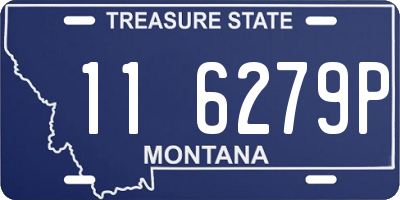 MT license plate 116279P