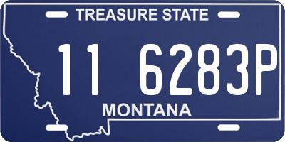 MT license plate 116283P