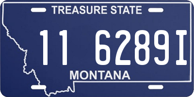 MT license plate 116289I