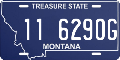 MT license plate 116290G