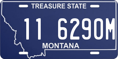 MT license plate 116290M