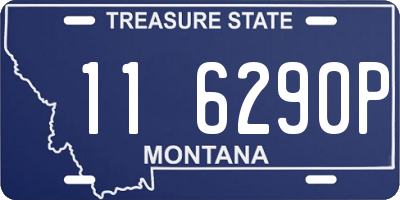MT license plate 116290P