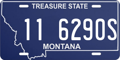 MT license plate 116290S