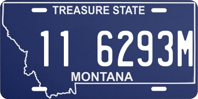 MT license plate 116293M