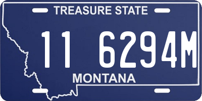 MT license plate 116294M