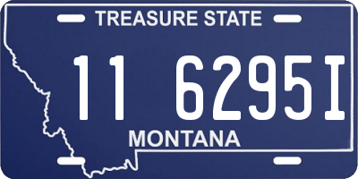 MT license plate 116295I