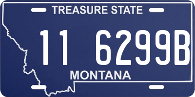 MT license plate 116299B