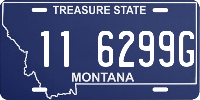 MT license plate 116299G