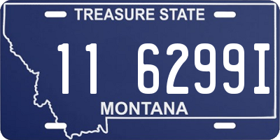 MT license plate 116299I