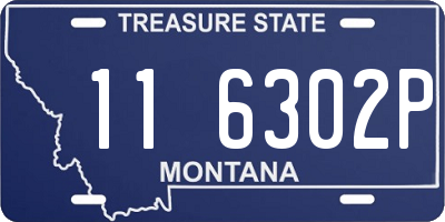 MT license plate 116302P