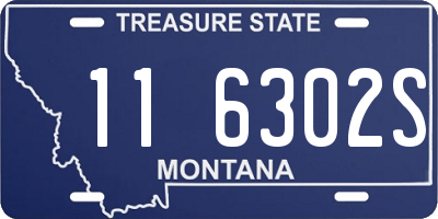 MT license plate 116302S