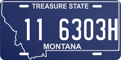 MT license plate 116303H