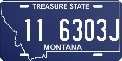 MT license plate 116303J