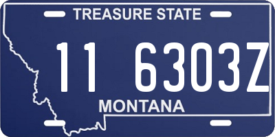 MT license plate 116303Z