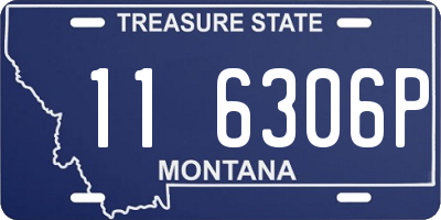 MT license plate 116306P