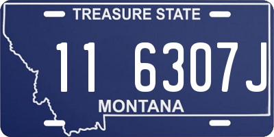 MT license plate 116307J