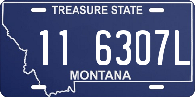 MT license plate 116307L
