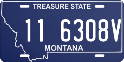 MT license plate 116308V