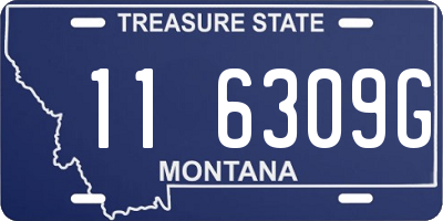 MT license plate 116309G