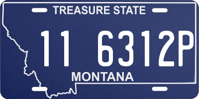 MT license plate 116312P