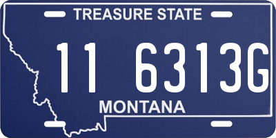 MT license plate 116313G
