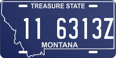 MT license plate 116313Z