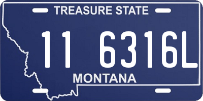 MT license plate 116316L